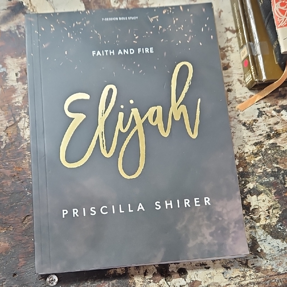 Elijah Priscilla Shirer, Faith and Fire Bible Study Book New Workbook